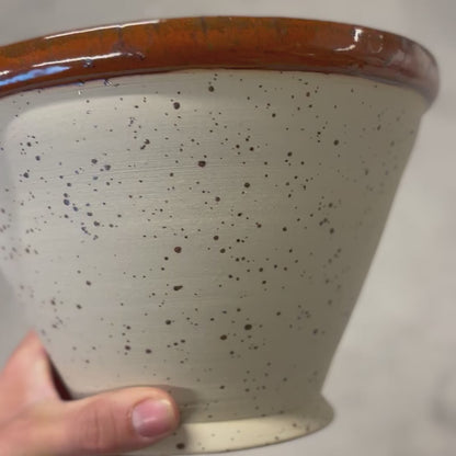 931 Ljus lavalera, stora prickar